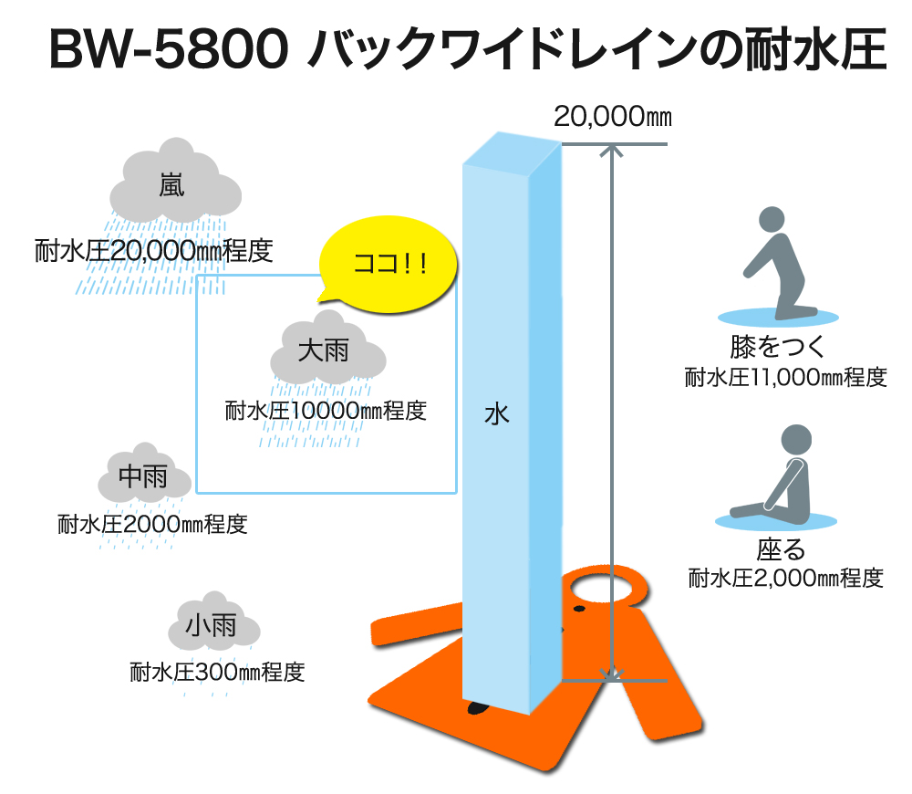 レインスタイル / BW-5800 バックワイドレイン